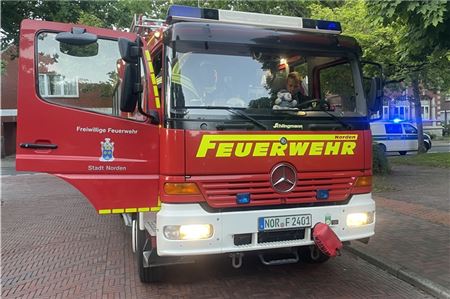 Dieser Einsatz verlief für alle Beteiligten glimpflich.