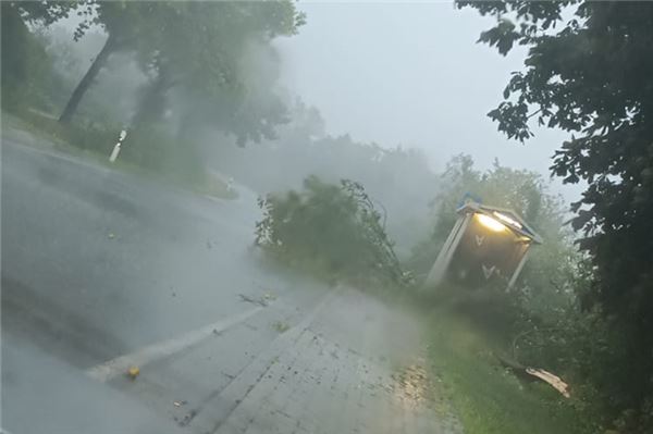 Ein Baum versperrte in Victorbur die Straße. Der Bauhauf der Gemeinde rückte mit Kettensägen an.