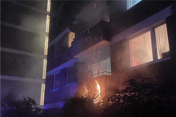 Großeinsatz in Norden: Kellerbrand löst Evakuierung von 80 Bewohnern aus Ein Busch geriet ebenfalls in Flammen.