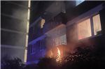 Ein Busch geriet ebenfalls in Flammen.