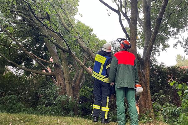 Stürmischer Nachmittag: Drei Einsätze für Norder Feuerwehr Ein kräftiger Sturm bescherte der Feuerwehr Norden drei Einsätze.