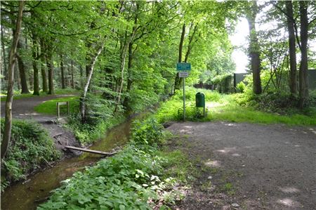 Eine Brücke wird es an dieser Stelle im Fürstenwald nicht geben. Dafür soll der Wanderweg verlängert werde.