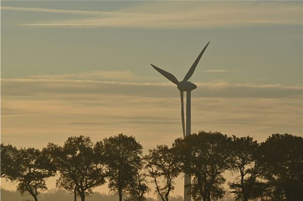 Eine Fehlschaltung an einer Windkraftanlage sorgte in Greetsiel für einen Stromausfall. (Symbolfoto)