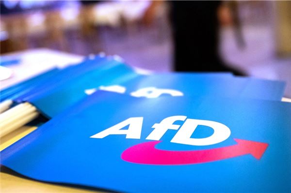 Flaggen der AfD