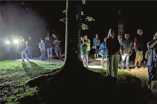 Freitagabend ging es mit dem Nabu Norden durch den Lütetsburger Schlosspark. Fotos: Merlin Klinke