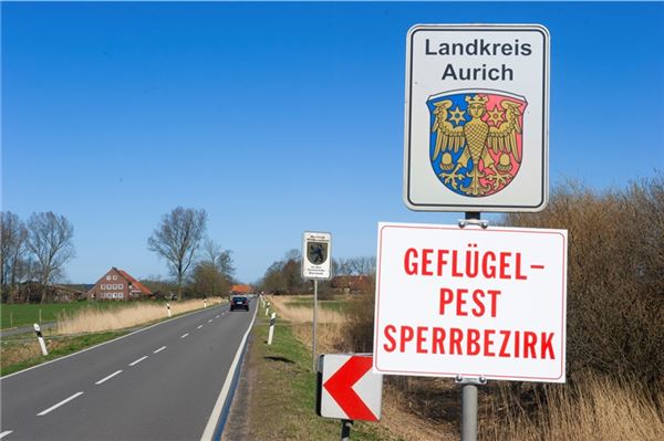 Geflügelpest Sperrbezirk