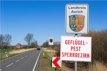 Geflügelpest Sperrbezirk