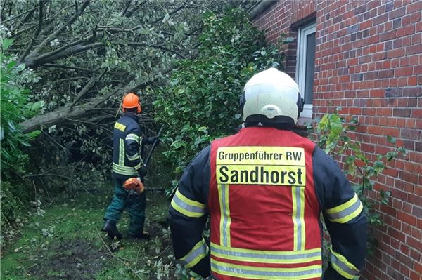 In Sandhorst stürzte ein Baum auf einen Balkon. Foto: Feuerwehr