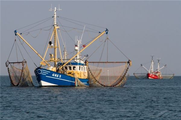 Krabbenkutter vor Norderney: Das drohende Verbot der Fischerei könnte abgewendet sein.