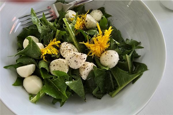 Lecker und gesund: Vergessen Sie nicht den Gundermann! Salat