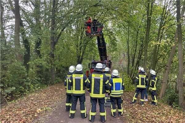 Feuerwehr Norden rettet Katze aus 16 Metern Höhe Feuerwehreinsatz