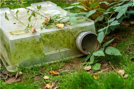 Mit einfachen Mitteln lässt sich eine sichere Futterstation für die Tiere bauen, die auch lange genutzt werden kann.