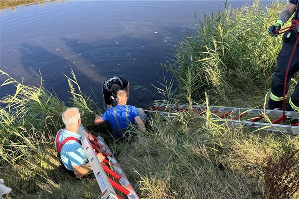 Mit Leitern hangelten sich die Rettungskräfte die steile Uferböschung herunter.