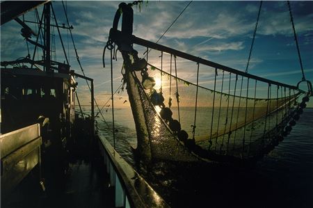 Mitten in der Nacht laufen die Krabbenkutter aus, um zu fischen. Derzeit gibt es einigermaßen stabile Preise. Doch die Brexit-Verhandlungen über die Fischereigebiete in Großbritannien können auch an der ostfriesischen Küste Auswirkungen haben. 