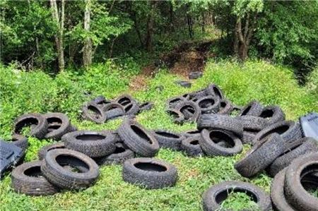 Mitten in der Natur liegen Dutzende alte Reifen und weiterer SchrottFoto: Polizei