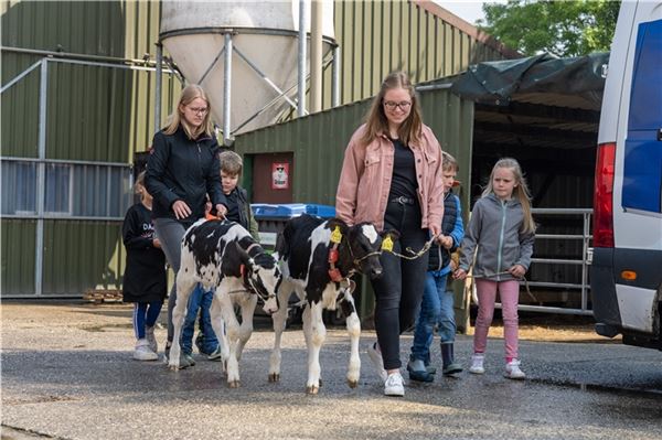 Neele Vohs führte mit den Kindern auch die Kälbchen über den Hof. Fotos: Ute Bruns