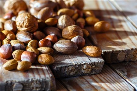 Nüsse sind die absoluten Brainfood-Klassiker – es gibt aber auch weitere Lebensmittel für ein fittes Gehirn. Foto: pixabay