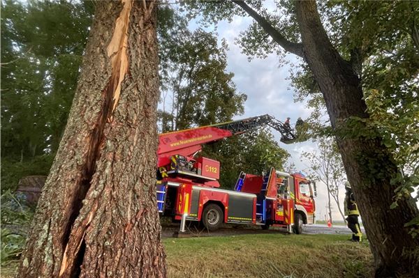 Stürmischer Nachmittag: Drei Einsätze für Norder Feuerwehr Nur für wenige Minuten waren die Böen über der Stadt.