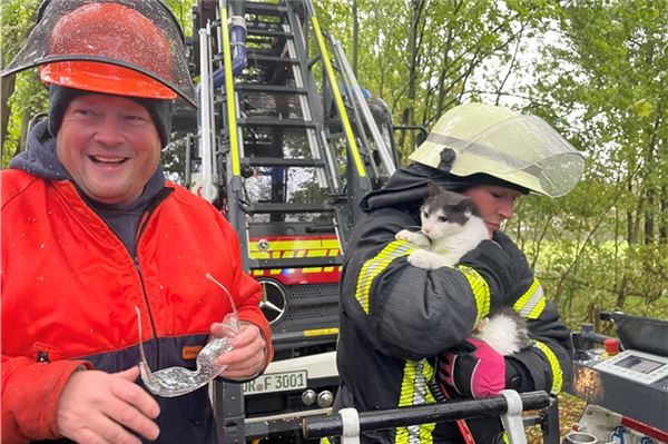 Feuerwehr Norden rettet Katze aus 16 Metern Höhe Feuerwehreinsatz