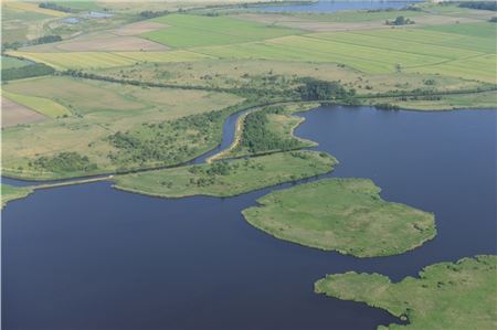 Rund um das Große Meer in Südbrookmerland sollen Flächen wiedervernässt werden. Die Freien Wähler haben dazu klare Forderungen und stellen die Frage, welche Ziele damit verfolgt werden. Foto: Martin Stromann