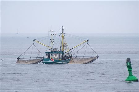 Ein Krabbenkutter auf der Nordsee
