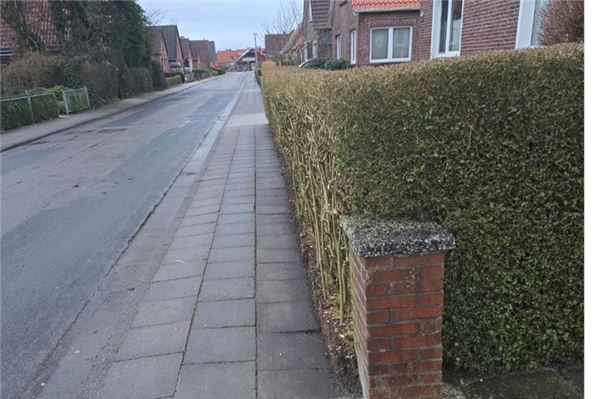 Mann nach Sturz per Drehleiter gerettet – Feuerwehr Norden im Doppel-Einsatz So sieht laut Stadt eine gut geschnittene Hecke aus.