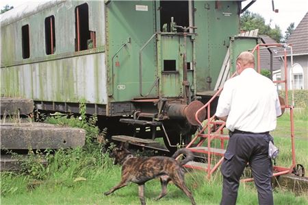 Spürhund Athos hat Spaß an seiner Arbeit. Voller Vorfreude eilt er auf den Waggon zu.