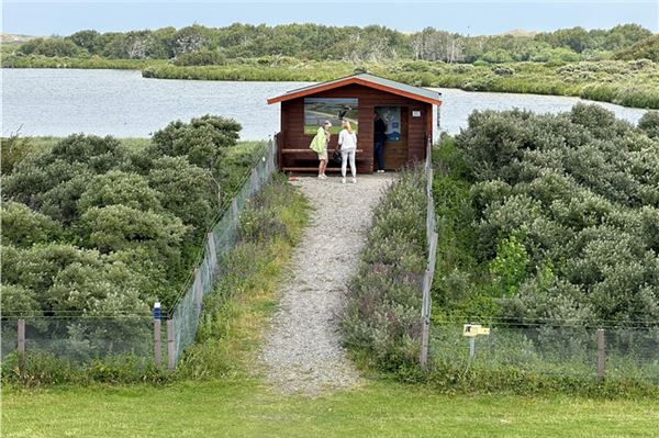 Touristen im Vogelschutzgebiet auf Norderney: Suche nach dem Wolf Foto: noun