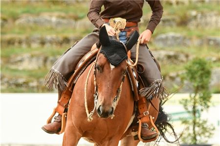 Unschlagbares Team. Die 18-jährige Norderin Alina Romeike ritt im Sattel von „JJ“ in Kreuth zum Titel. Foto: Luxcompany