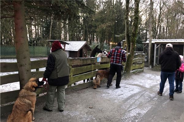 Verschneite Wege, neugierige Tiere: Birgits Tiergarten öffnete erstmals im Winter – und abends.