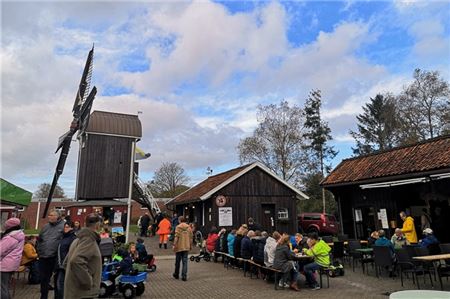 Voll besetzte Bänke und Tische, dazu bestes Mühlenwetter in Dornum. Foto: Bettina Schüttler