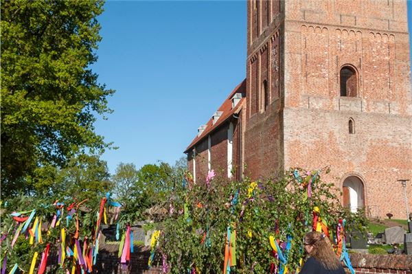 Die schönsten Bilder: Das Norderland feiert in den Mai Vor dem Vergnügen kam in Osteel die Arbeit: Der Baum musste zum Standort geschleppt werden.