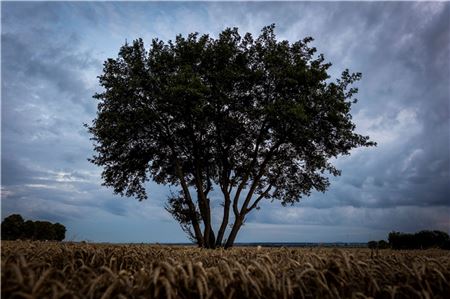 Was kommt denn da auf Ostfriesland zu? Es ist der Herbst.