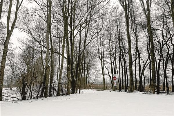 Im Tjücher Moortun in Marienhafe