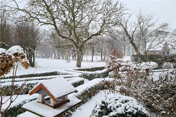 Winterlicher Garten