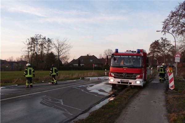 Auto brennt vollständig aus