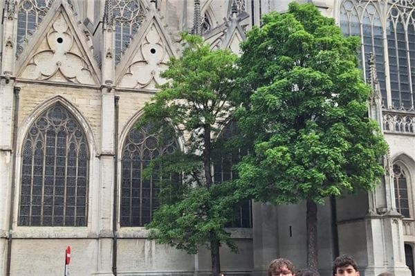 Erasmus-Austausch Norden: Spanische Schüler reisen nachhaltig mit dem Zug an