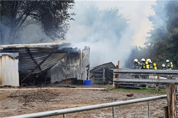 Stall in Großheide brennt komplett aus