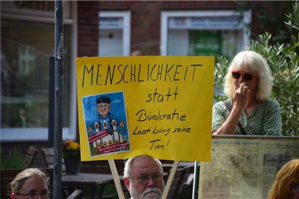 Gänse-Streit in Marienhafe: 160 Demonstranten kämpfen für Ludwig Smid