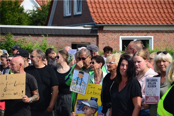 Gänse-Streit in Marienhafe: 160 Demonstranten kämpfen für Ludwig Smid