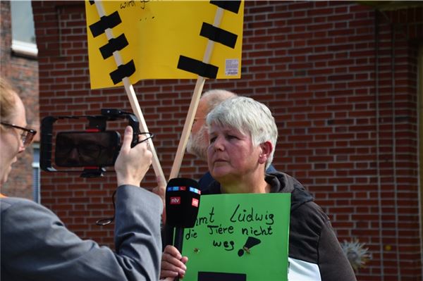 Gänse-Streit in Marienhafe: 160 Demonstranten kämpfen für Ludwig Smid
