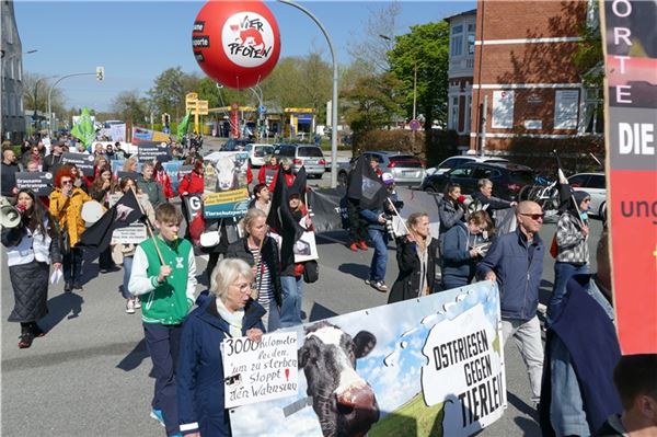 Tierschützer gehen in Aurich auf die Straße